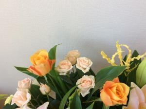 2015-11-11-3