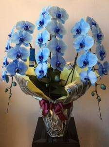 本日のお届けは、ブルーエレガンス。｜「かきえん」　（愛知県一宮市の花キューピット加盟店 花屋）のブログ
